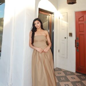 Zara Strapless Tan Dress